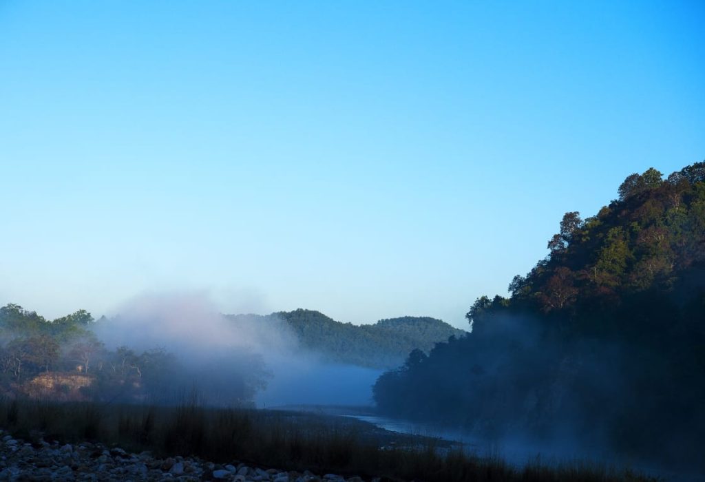 Dhikala Zone in the morning